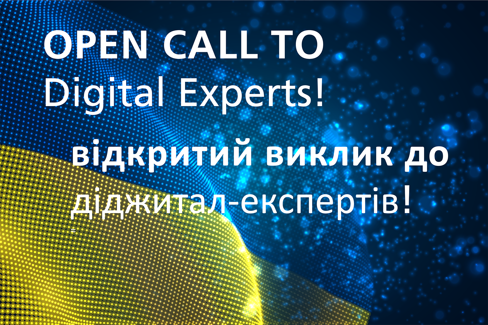 Open call to digital experts
