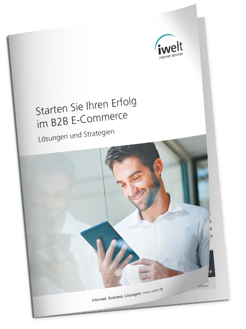 Whitepaper B2B E-Commerce